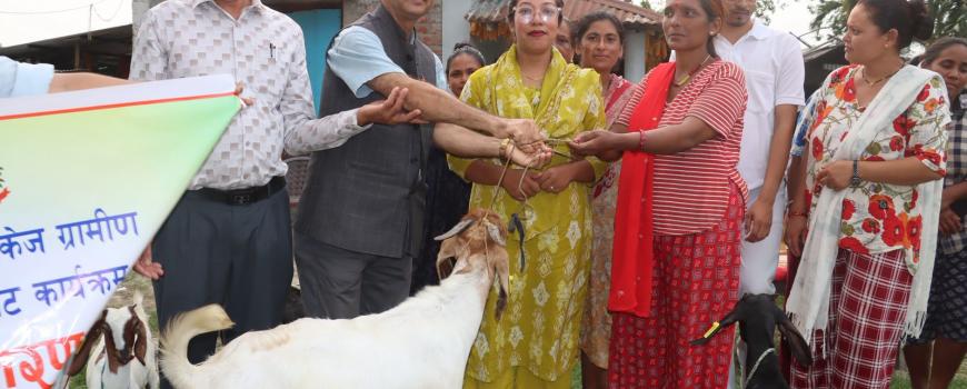 पञ्चकन्या महिला समुहलाई बिर्तामोडको बाख्रा 