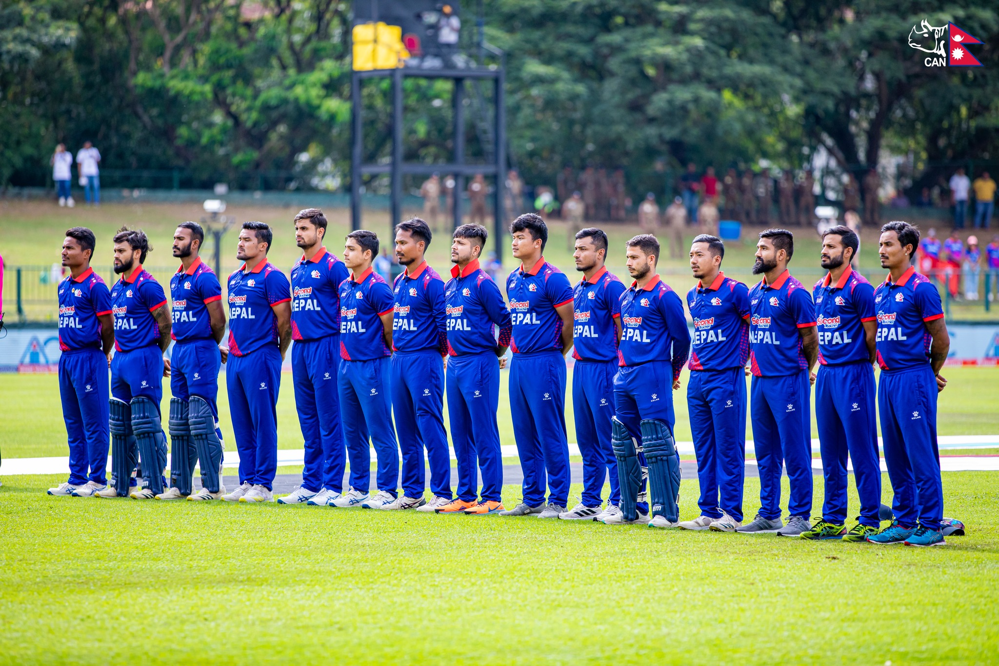 cricket